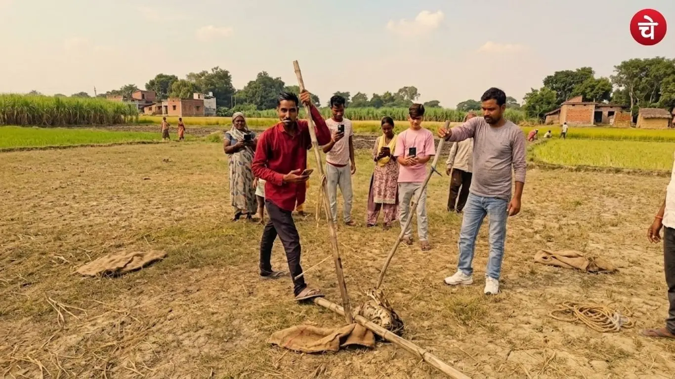 Giant python found in Dwarikaganj, Sultanpur